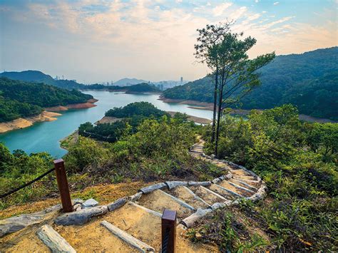 城門水塘|城門水塘半日遊行山路線 遊白千層樹林美景 